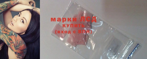 PSILOCYBIN Балахна