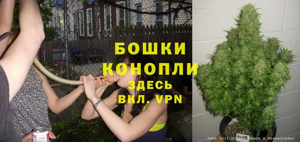 PSILOCYBIN Балахна