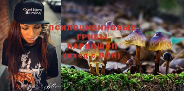 PSILOCYBIN Балахна
